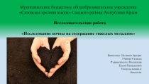 Исследовательская работа Исследование почвы на содержание ионов тяжелых металлов