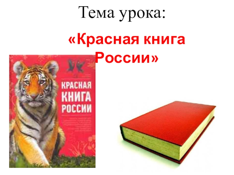 Проект красная книга россии 7 класс