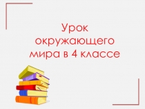 Презентация по окружающему миру на тему Новое время встреча Европы и Америки