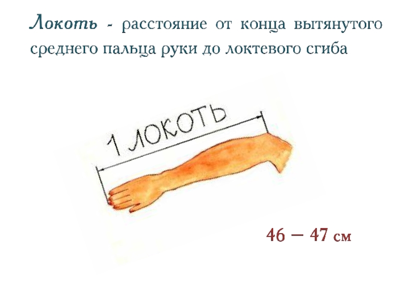 Локоть мера длины картинка