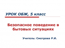 Презентация к уроку ОБЖ Безопасность в бытовых ситуациях (5 класс)
