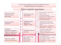 Орта мерзім жоспары 7 сынып