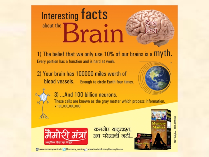 Interest facts. Interesting facts about Brain. Interesting facts about Human Brain. Interesting facts. Information about Brain.