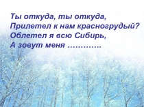 Презентация по изобразительному искусству Снегири (1 класс)