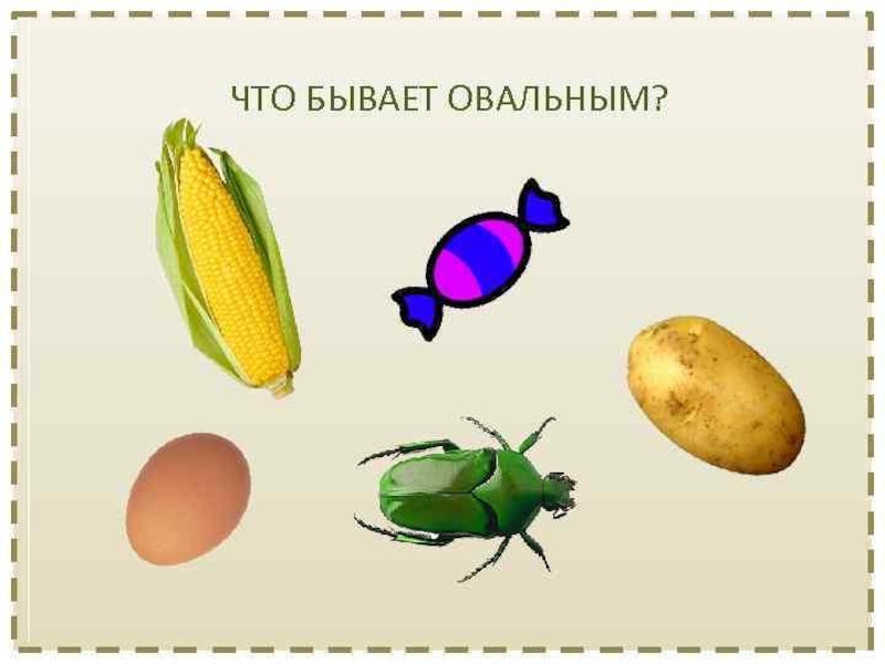 Презентация что на что похоже на