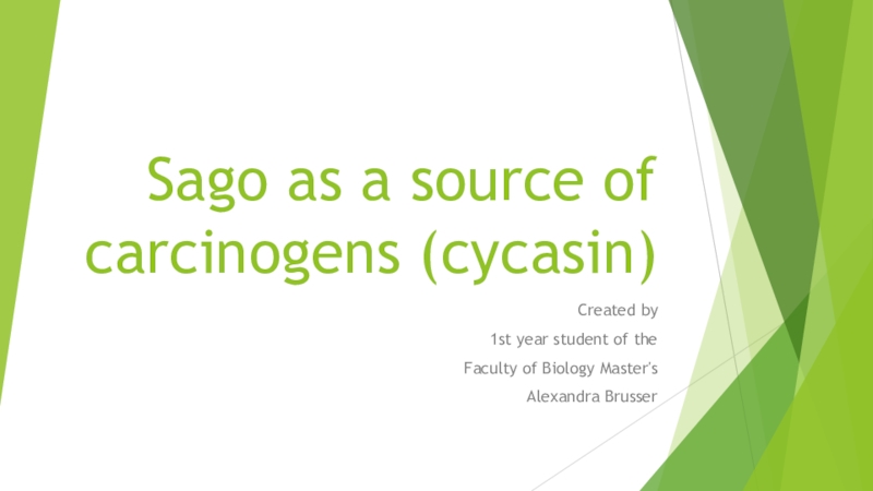 Презентация Презентация по биологии на английском языке Sago as a source of carcinogens - Саговники, как источник канцерогенов