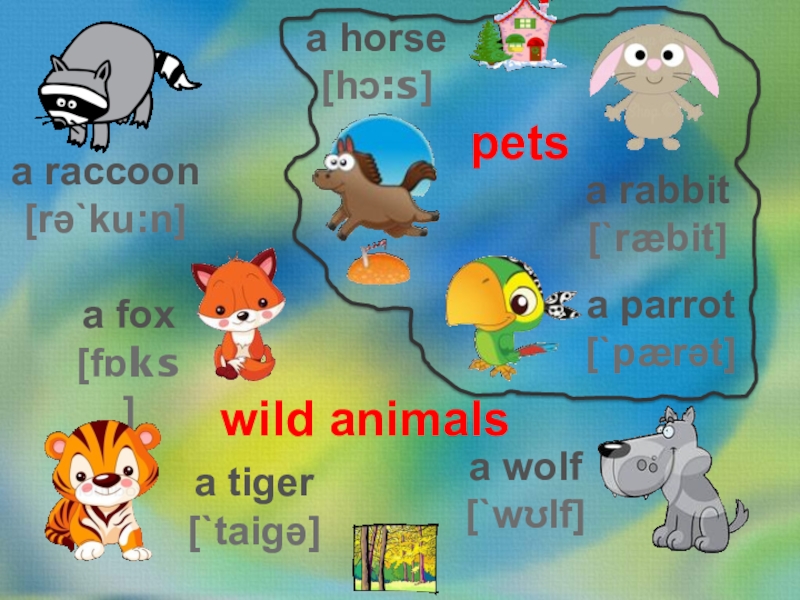 Do they like animals. Animals 2 класс. Презентация к уроку английского языка 2 класс animals. Животные на английском языке 2 класс.
