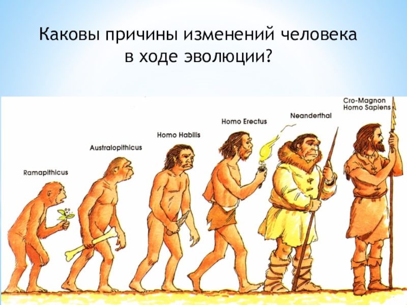 Появление homo sapiens. Эволюция человека хомо сапиенс. Хомо сапиенс неандерталец кроманьонец. Изменения и причины развития человека. Смена человечества.