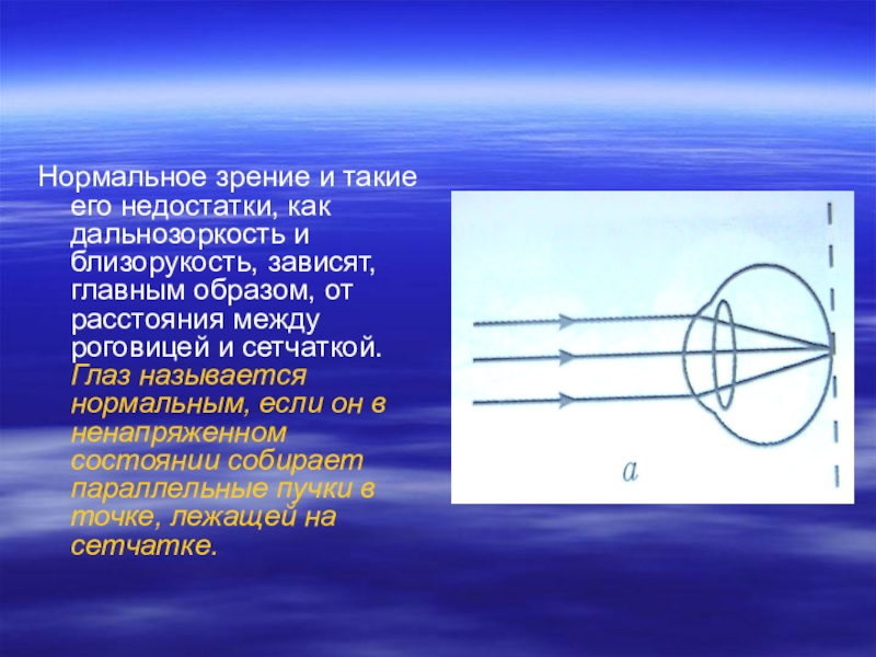 Взгляд на зрение с точки зрения физики проект по физике