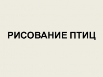 Анималистический жанр. Рисование птиц. Попугай (2 класс)