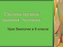 Урок на тему Дыхательная система человека 9 класс