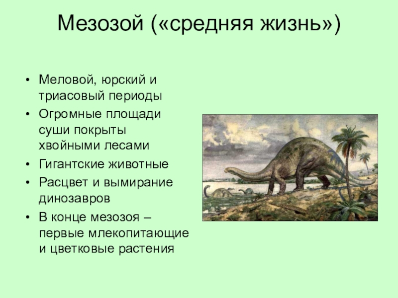 Перечислите периоды мезозоя. Триасовый Юрский и меловой периоды. Мезозой. Триасовый период мезозойской эры. Триасовый период основные события.