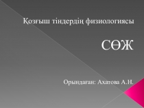 Қозғыш тіндердің физиологиясы және түрлерімен бұлшықеттердің жиырылуы