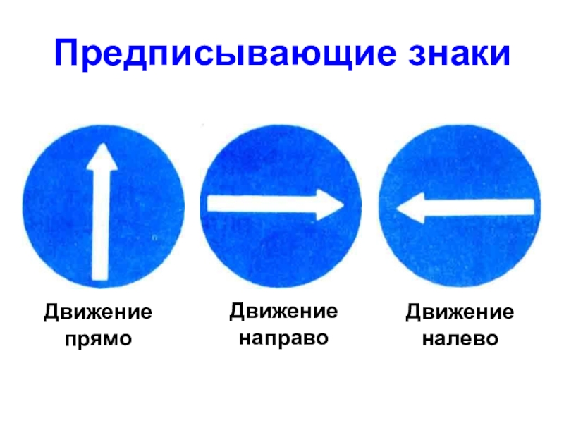 Знаки предписывающие дорожного движения презентация