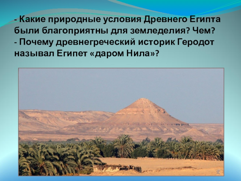 Какие природные условия древнего египта были благоприятны. Бахария Египет. Оазис Бахария. Оазис Бавария в Египте. Сахара Оазис Египет.