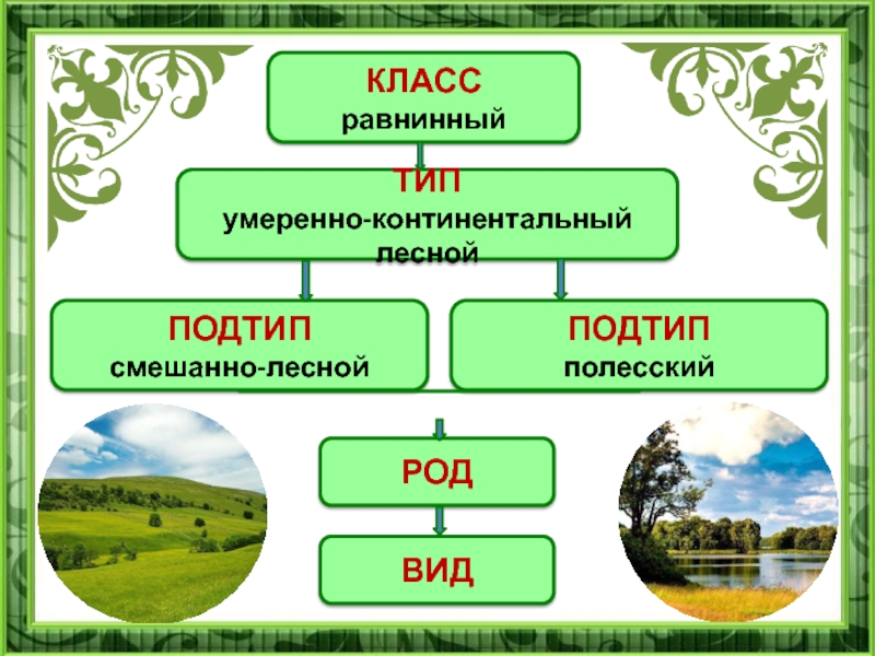 Курсовая работа по теме Лесные ландшафты Беларуси