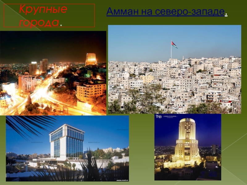 Доклад: Амман