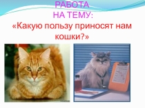 Презентация по окружающему миру на тему  Чем полезны кошки