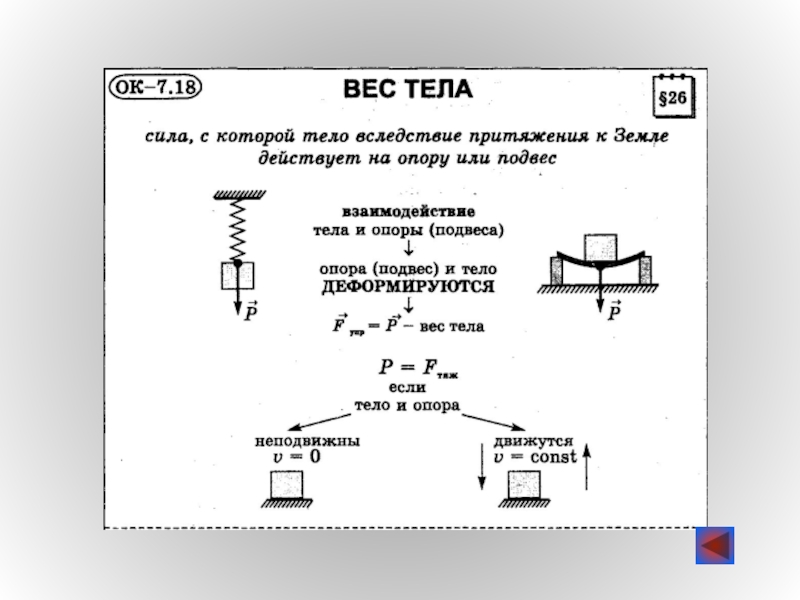 Физика 7 конспект сила