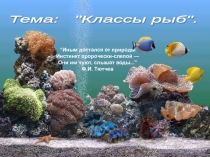 Презентация по биологии на тему Классы рыб