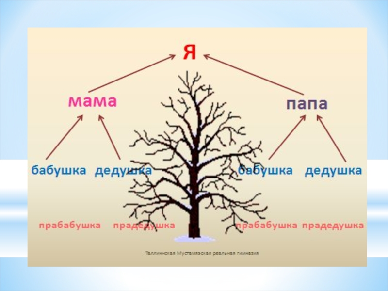 Откуда идет род. Презентация моя родословная. Проект родословная. Проект моя родословная. Проект родословная 2 класс.