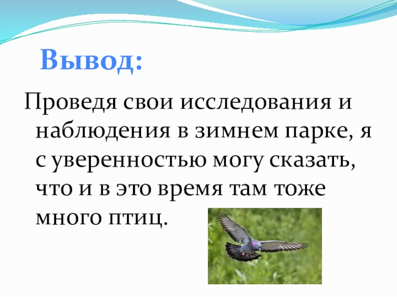 Движению птиц вперед способствуют перья. Вывод о птицах. Вывод на тему птицы. Движение птиц вывод. Птица казырок вывод по птице.