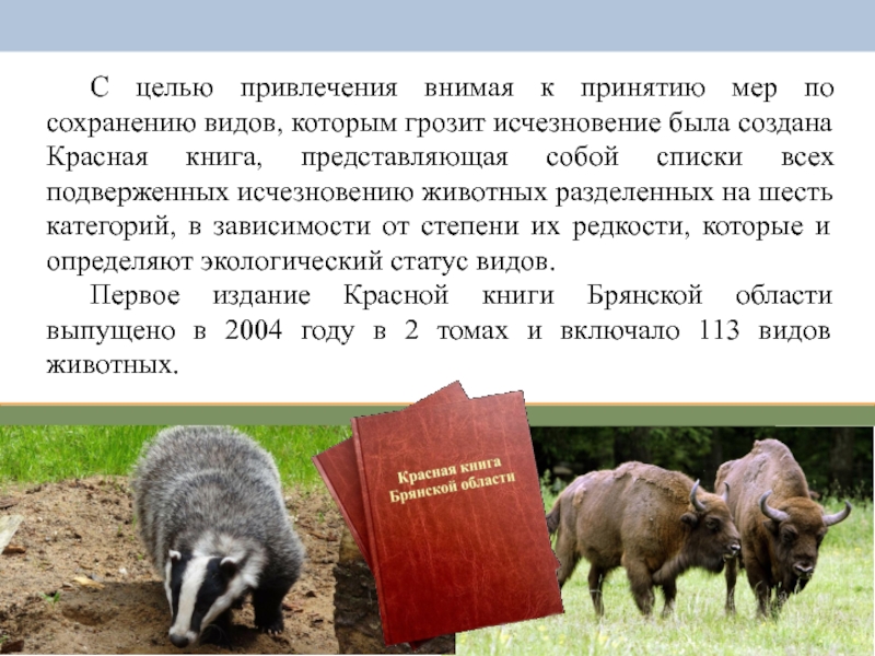 Презентация красная книга омской области животные фото и описание