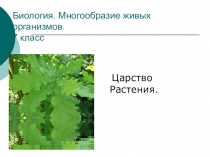 Презентация по Биологии Общая характеритика царства растений (7 класс)