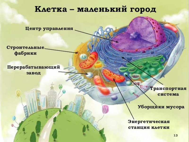 Проект на тему биология