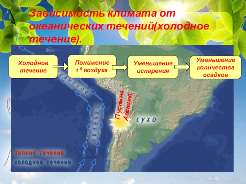 Почему течения разные. Зависимость климата от течений. На что влияют Океанические течения. Влияние течений на климат. Зависимость климата от океанических течений.