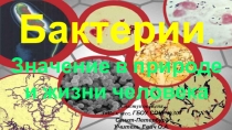 Бактерии. Значение бактерий в природе и жизни человека. Вирусы. Неклеточная форма жизни.