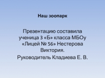 Наш зоопарк.