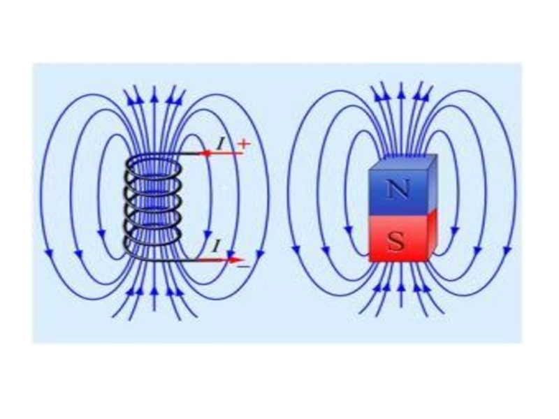 Нарисуйте магнитное поле проводника с током катушки с током и постоянного магнита