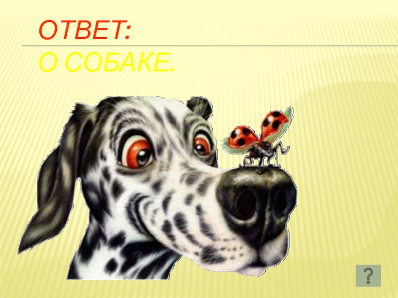 Собак ответ. Собак к ответу!. Собачий ответ.