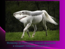 Урок по биологии в 9 классе. Гибридологический метод