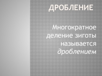 Презентация к уроку биологии Дробление (11 класс)