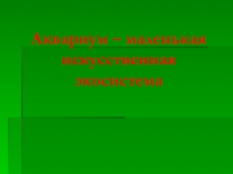Презентация по окружающему миру по теме Первый шаг из моря на сушу