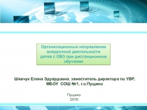 Организационные направления внеурочной деятельности детей с ОВЗ при дистанционном обучении