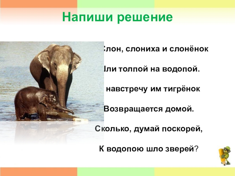 Напиши решение	Слон, слониха и слонёнок