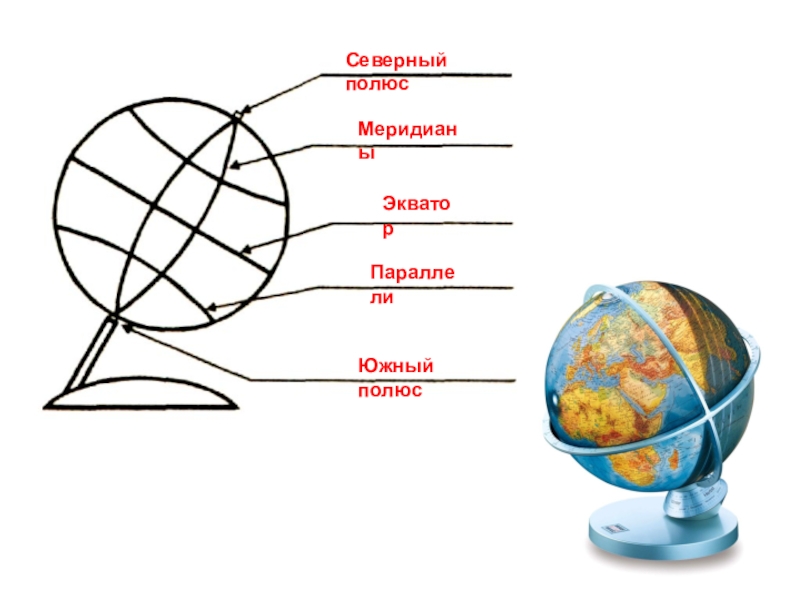 Что такое глобус и географическая карта