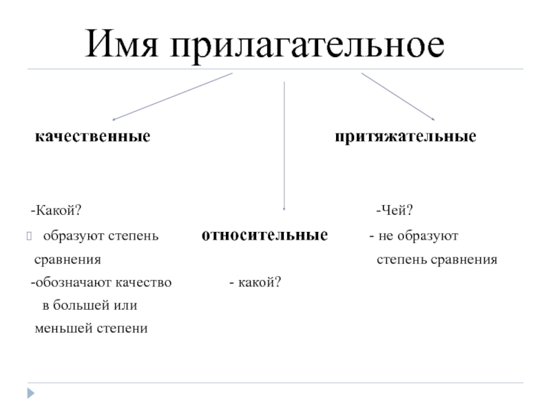 Что такое качественное в русском языке. Качественные имена прилагательные. Качественные прилагательные примеры. Качественные относительные и притяжательные прилагательные. Качественное и относительное прилагательное.