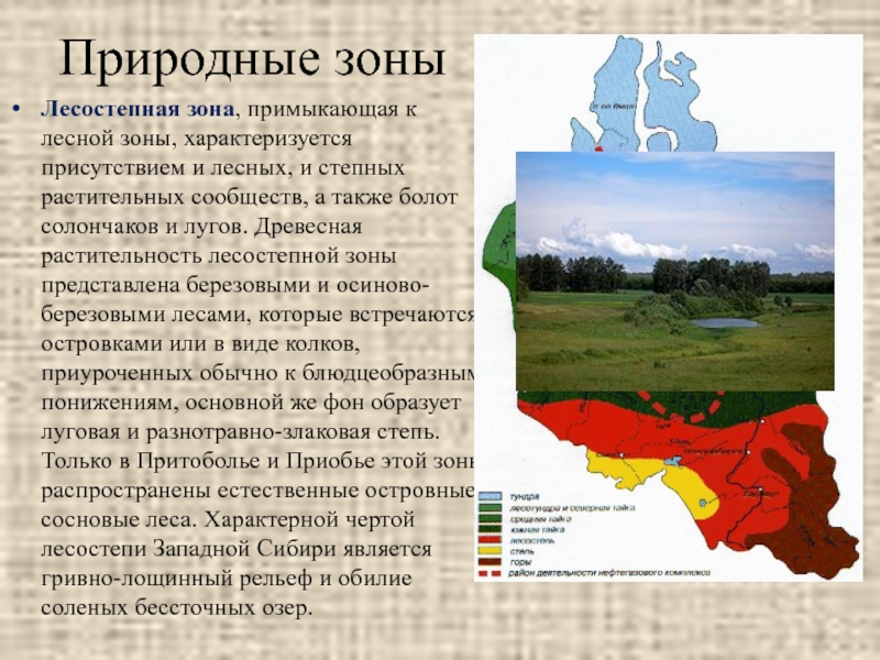 Лесостепная зона на карте. Лесостепная природная зона. Зоны Западной Сибири. Природные зоны Сибири. Лесостепная зона природные условия.
