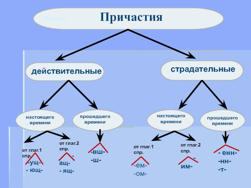 Схема причастий действительных и страдательных