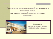 Презентация к докладу Исследовательская работа в начальных классах