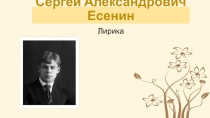 Презентация к уроку литературы на тему Тема родины в лирике С.А. Есенина (11 класс)