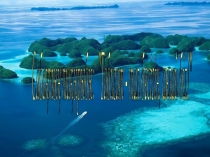 Презентация Развитие основных физических качеств юношей.