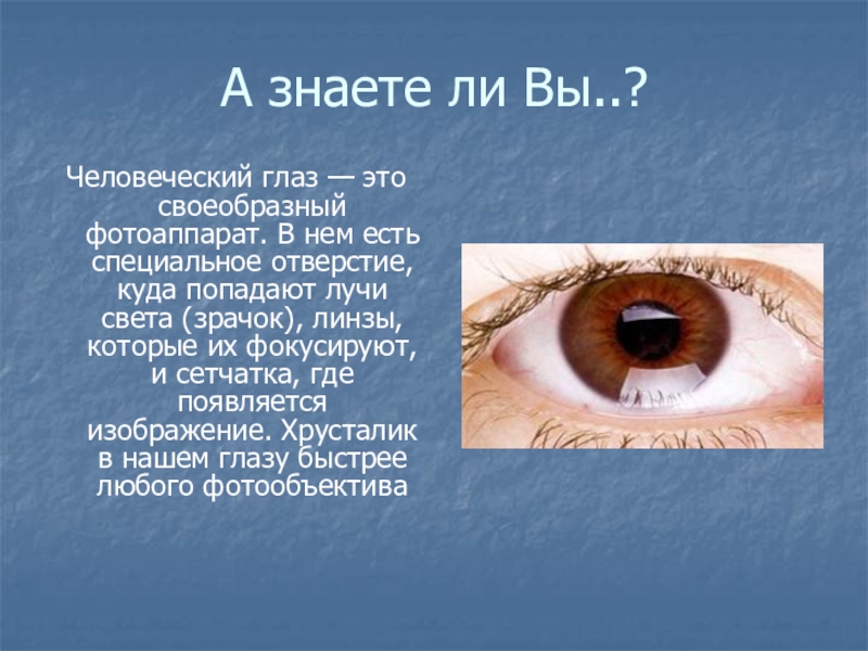 Возможности и особенности человеческого глаза проект