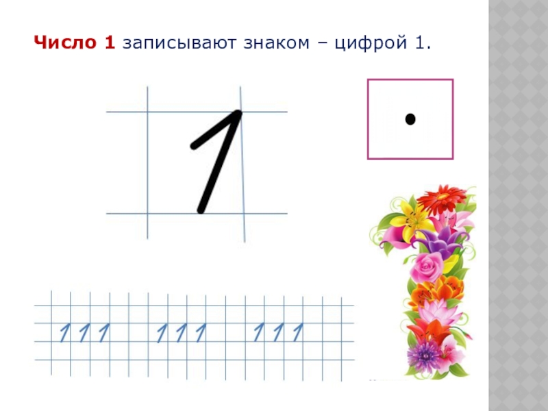 Число и цифра 1 презентация 1 класс презентация