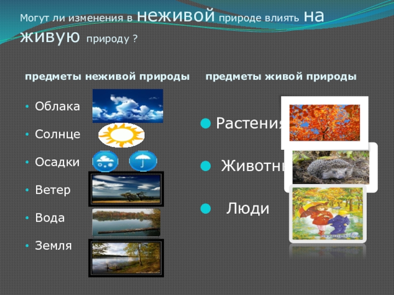 Объекты природы 2. Объекты неживой природы. Изменения в живой и неживой природе. Предметы неживой природы. Объект и явление неживой природы.