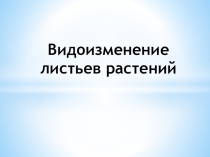 Видоизменение листьев растений.